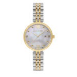 ساعت مچی DICE KAYEK مدل DK.1.AG1344.03