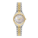 ساعت مچی DICE KAYEK مدل DK.1.AG1351.04